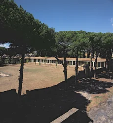 Det Store Palaestra